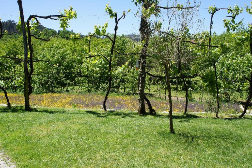 Quinta Travessa Villa Vieira do Minho Kültér fotó